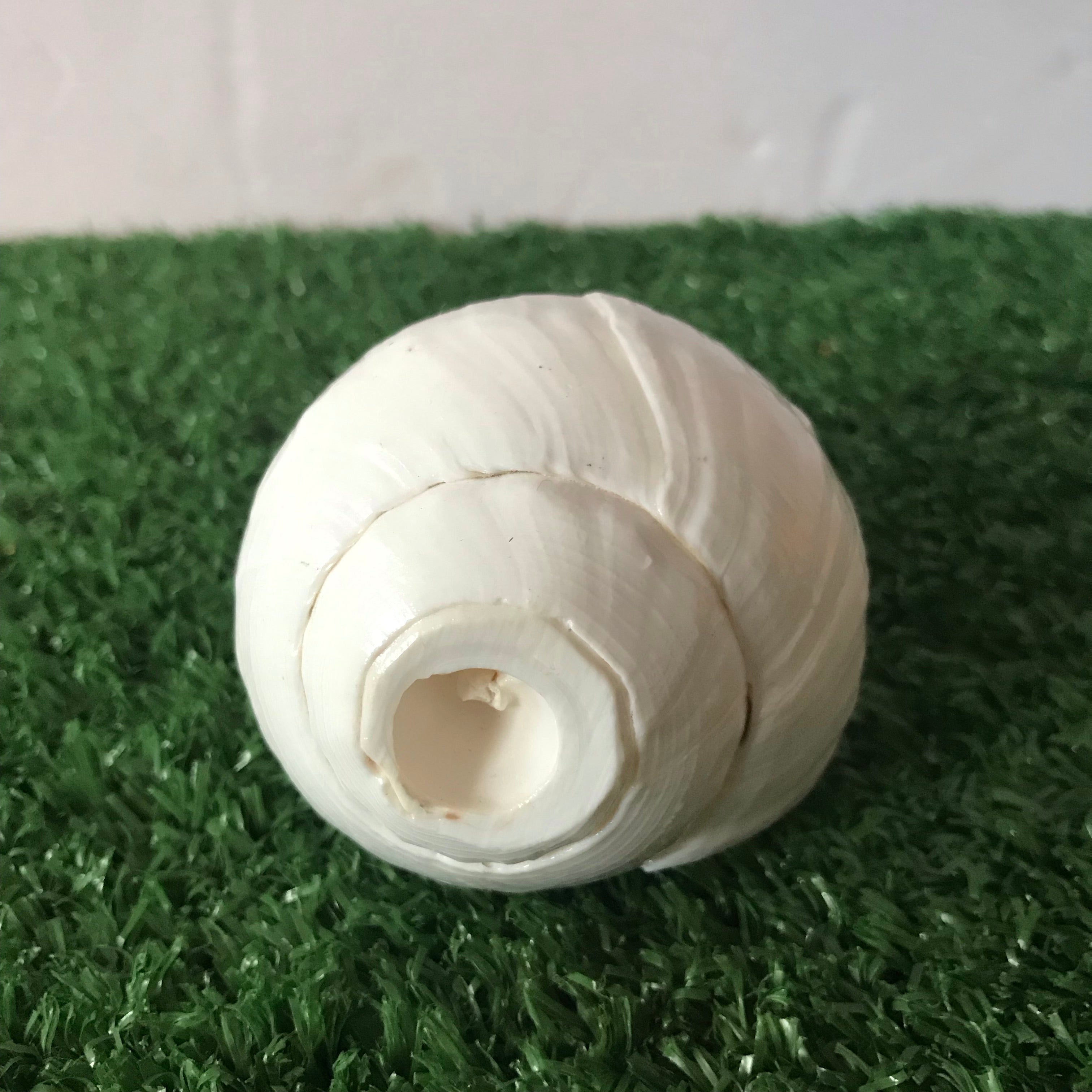 image.jpg?v=1687899298