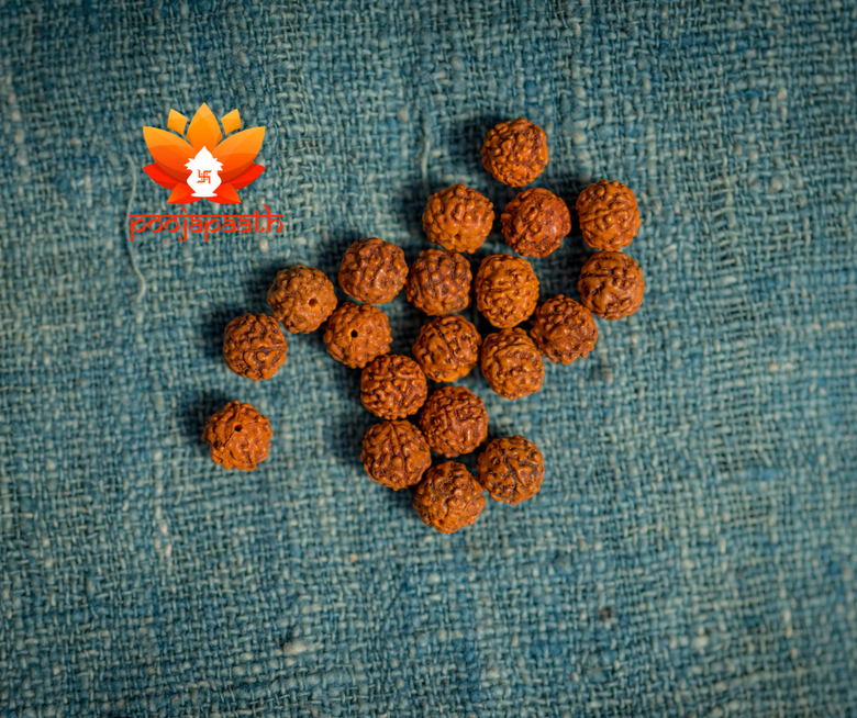 Benefits of wearing the Rudraksha