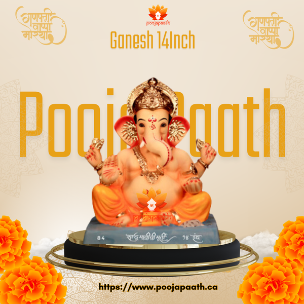 Ganesh ji Potya Eco Friendly Idol- 14 Inch #GaneshChaturthi