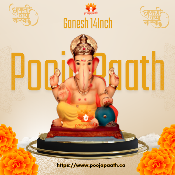 Ganapti ji Asan Eco Friendly Idol- 14 Inch #GaneshChaturthi