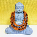 Rudraksh Mala Medium Beads